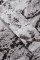 Wild Snake Print Shirt with Pockets